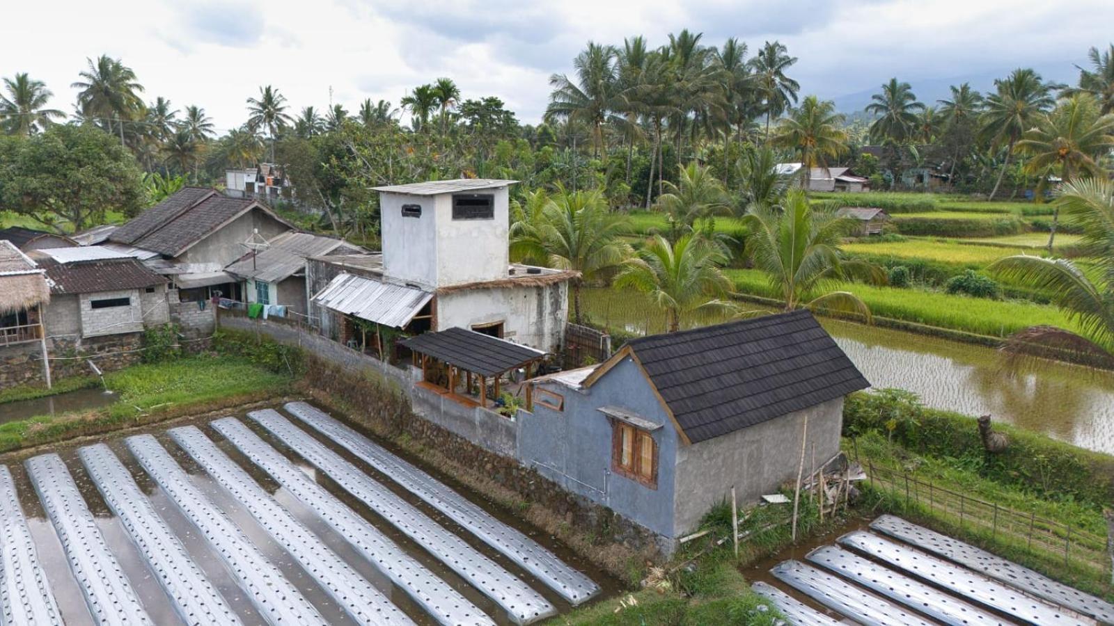 Dira Bungalows Tetebatu Pokoj fotografie