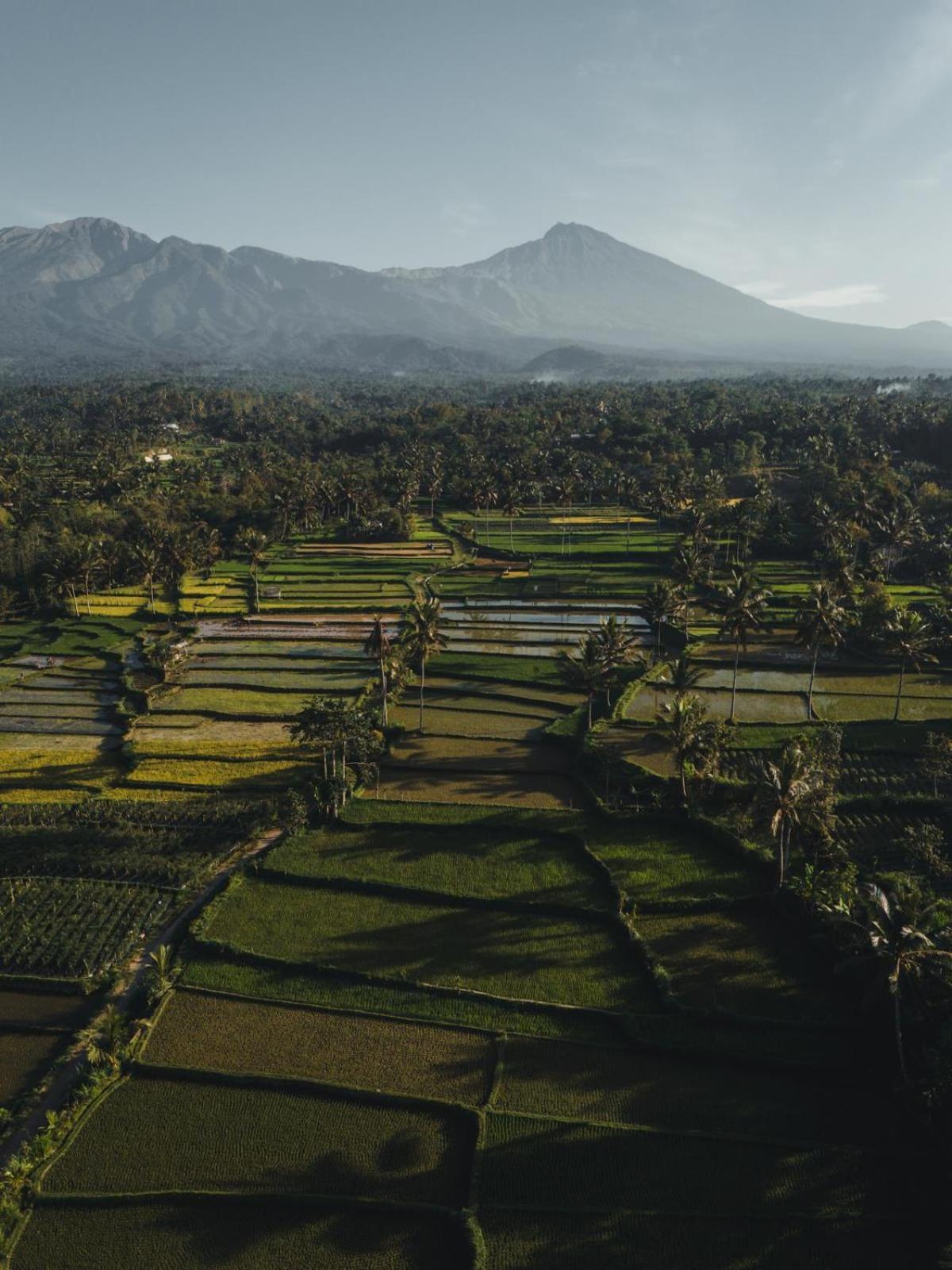 Dira Bungalows Tetebatu Exteriér fotografie