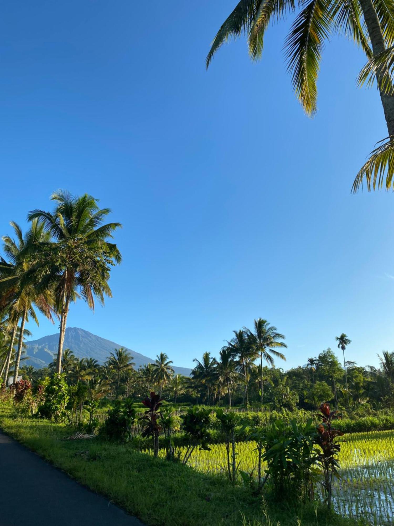 Dira Bungalows Tetebatu Exteriér fotografie