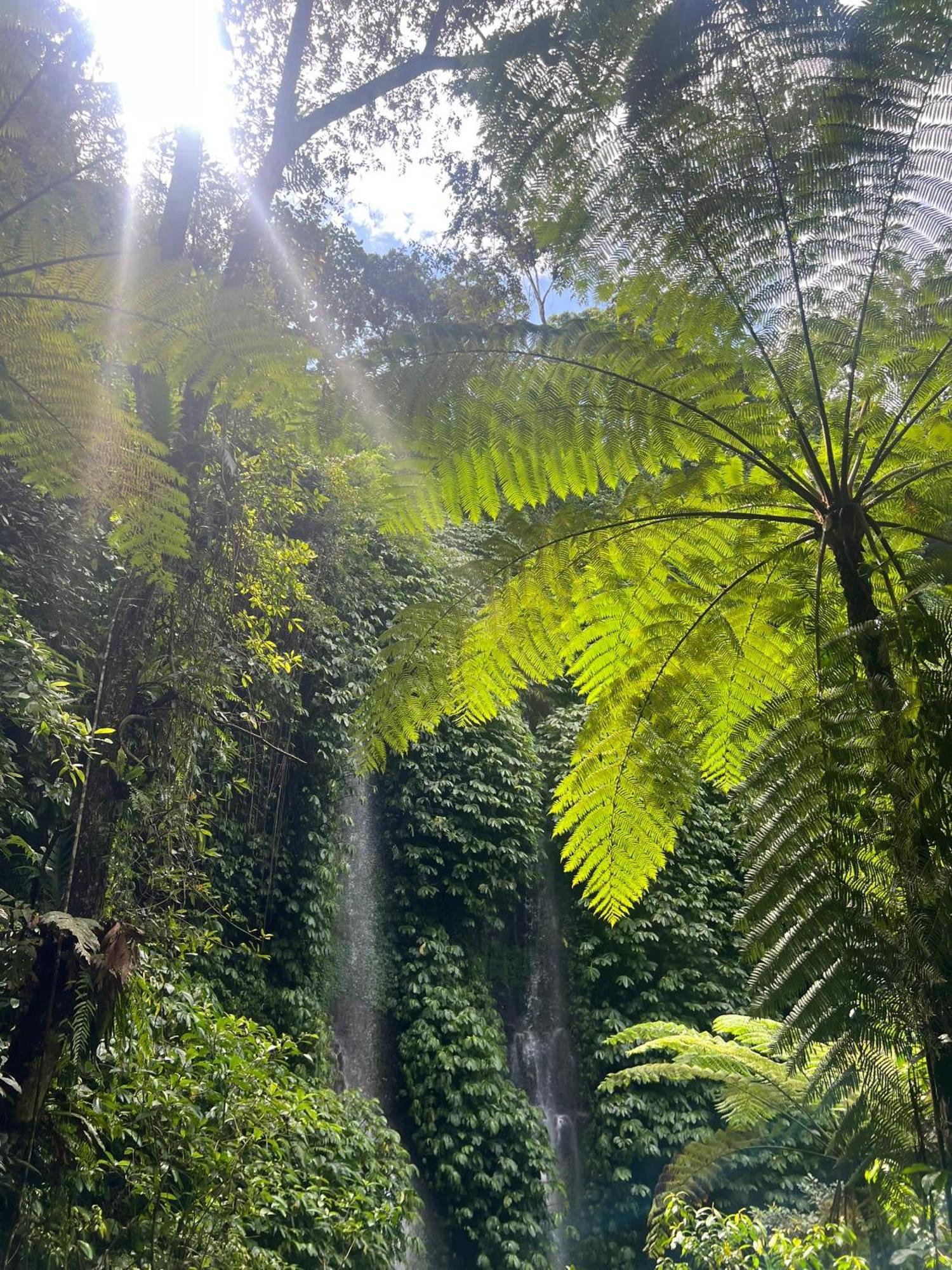 Dira Bungalows Tetebatu Exteriér fotografie